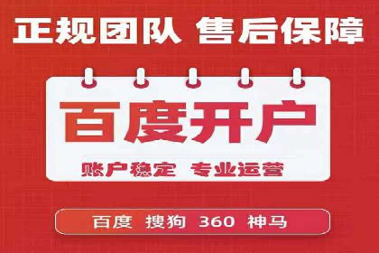深度解析：SEM竞价优化提升ROI的案例